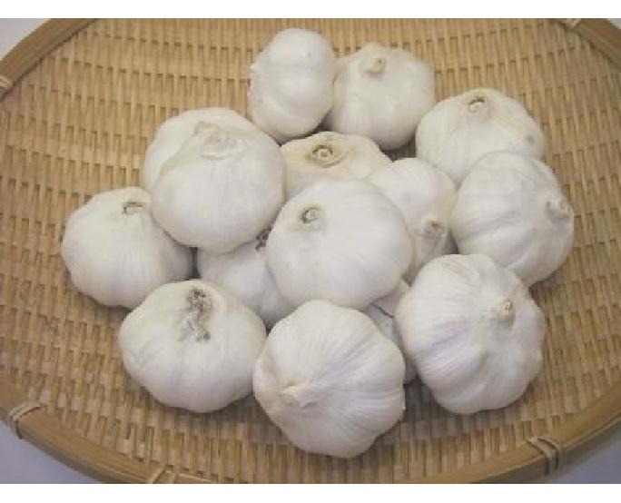 中国産皮付にんにく（約1kg） 1袋