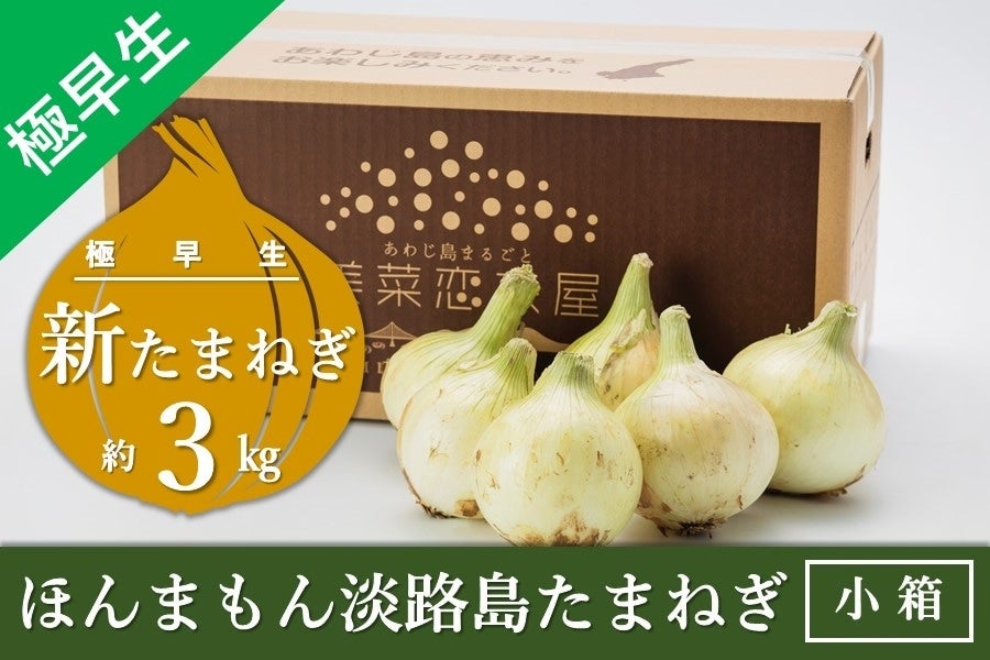 ◆美菜恋来屋◆ほんまもん淡路島たまねぎ【新たまねぎ】（小箱）【２～３月出荷分】